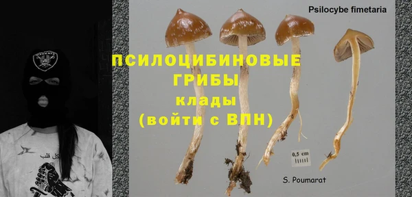 прущие крисы Бородино