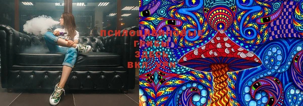 spice Богданович