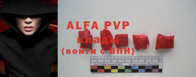 spice Богданович