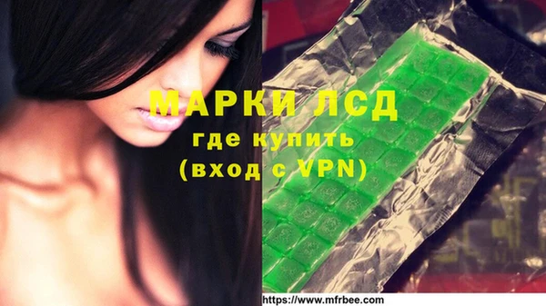 прущие крисы Бородино