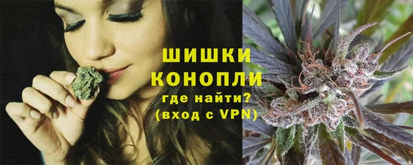 хмурый Богородск