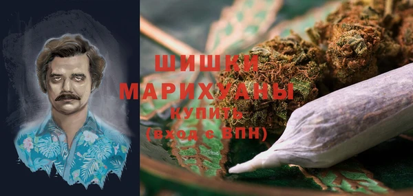 spice Богданович