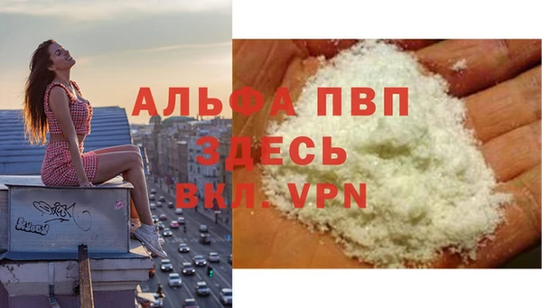 крисы Бронницы